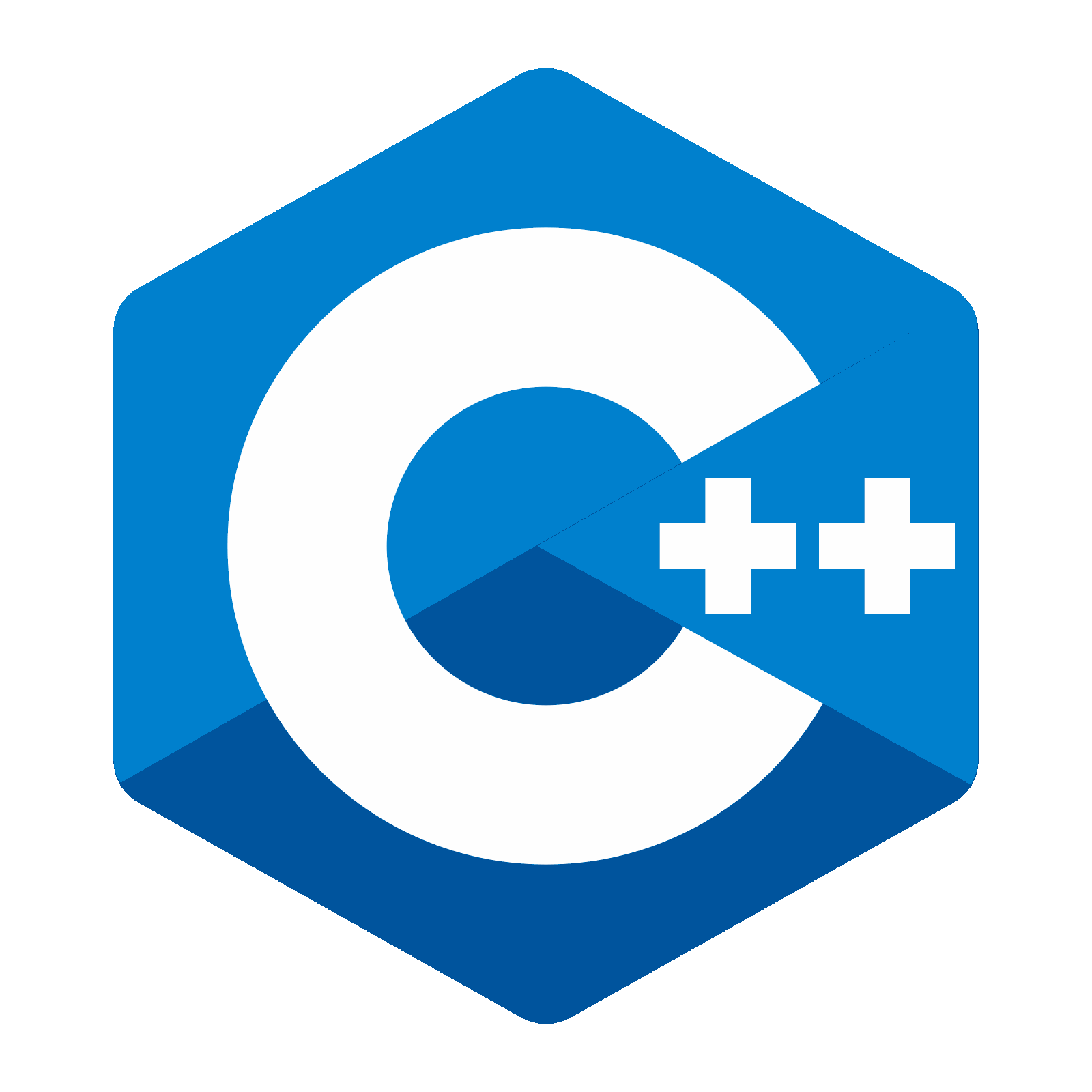 Developer's Photograph